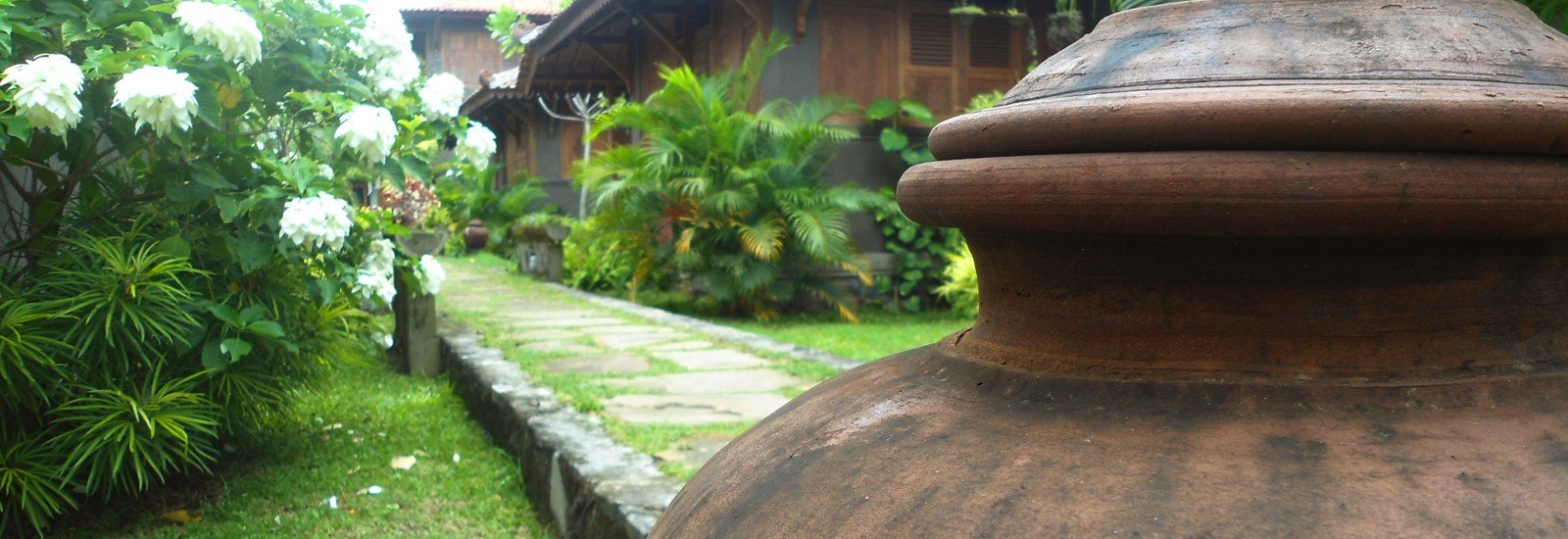banner-background